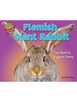 cover image of Flemish Giant Rabbit